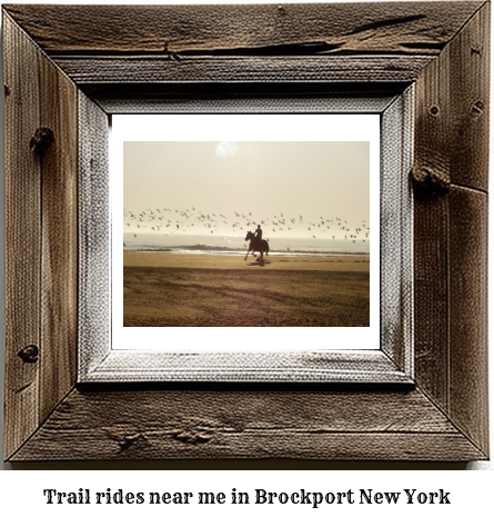 trail rides near me in Brockport, New York